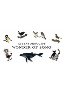 دانلود مستند شگفتی آواز اتنبرو Attenborough’s Wonder of Song 2022
