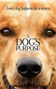 دانلود فیلم هدف یک سگ A Dog’s Purpose 2017