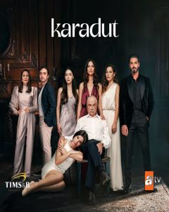 دانلود سریال شاه‌توت 2024 Karadut