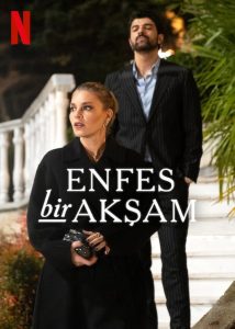 دانلود سریال یک شب نفیس Enfes Bir Aksam