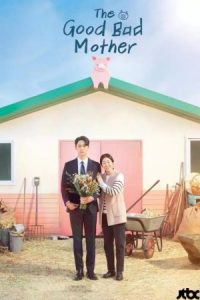 دانلود سریال مادر خوب بد The Good Bad Mother دوبله فارسی